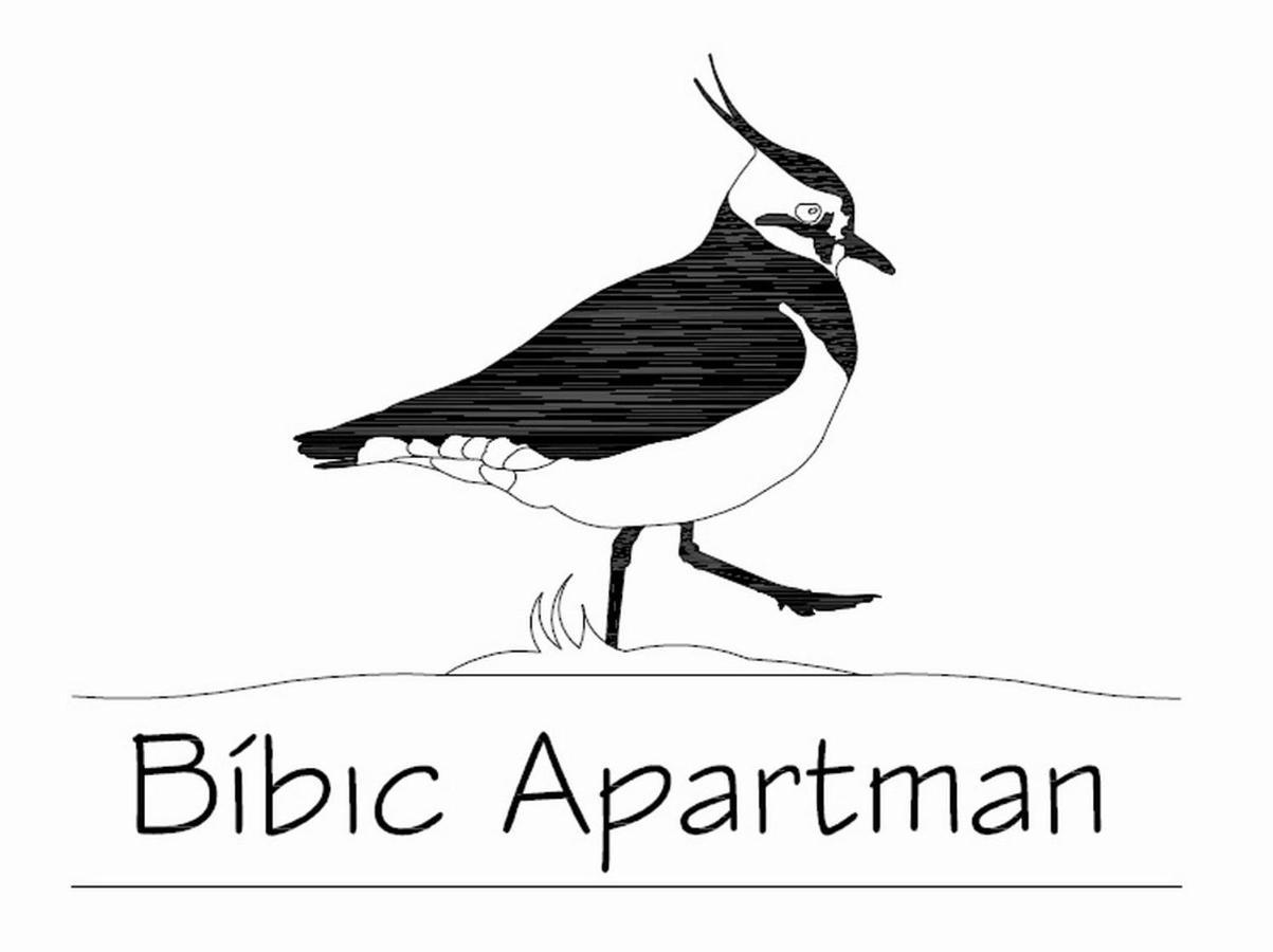 Bibic Apartman A Kapolnasnyek Eksteriør billede
